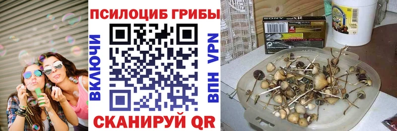 Галлюциногенные грибы ЛСД Новая Ляля